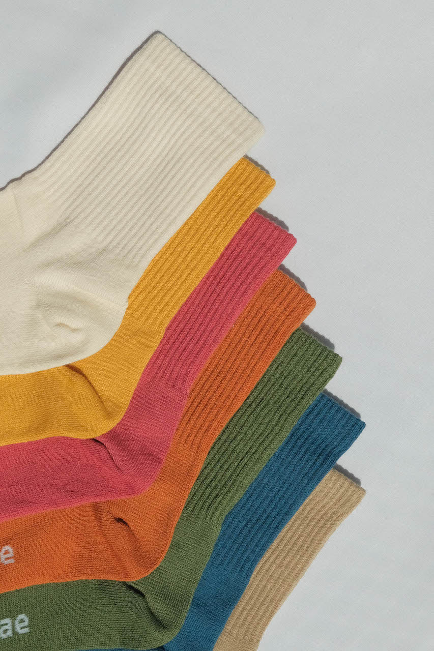 Days of the Week Crew Sock 7-Pack