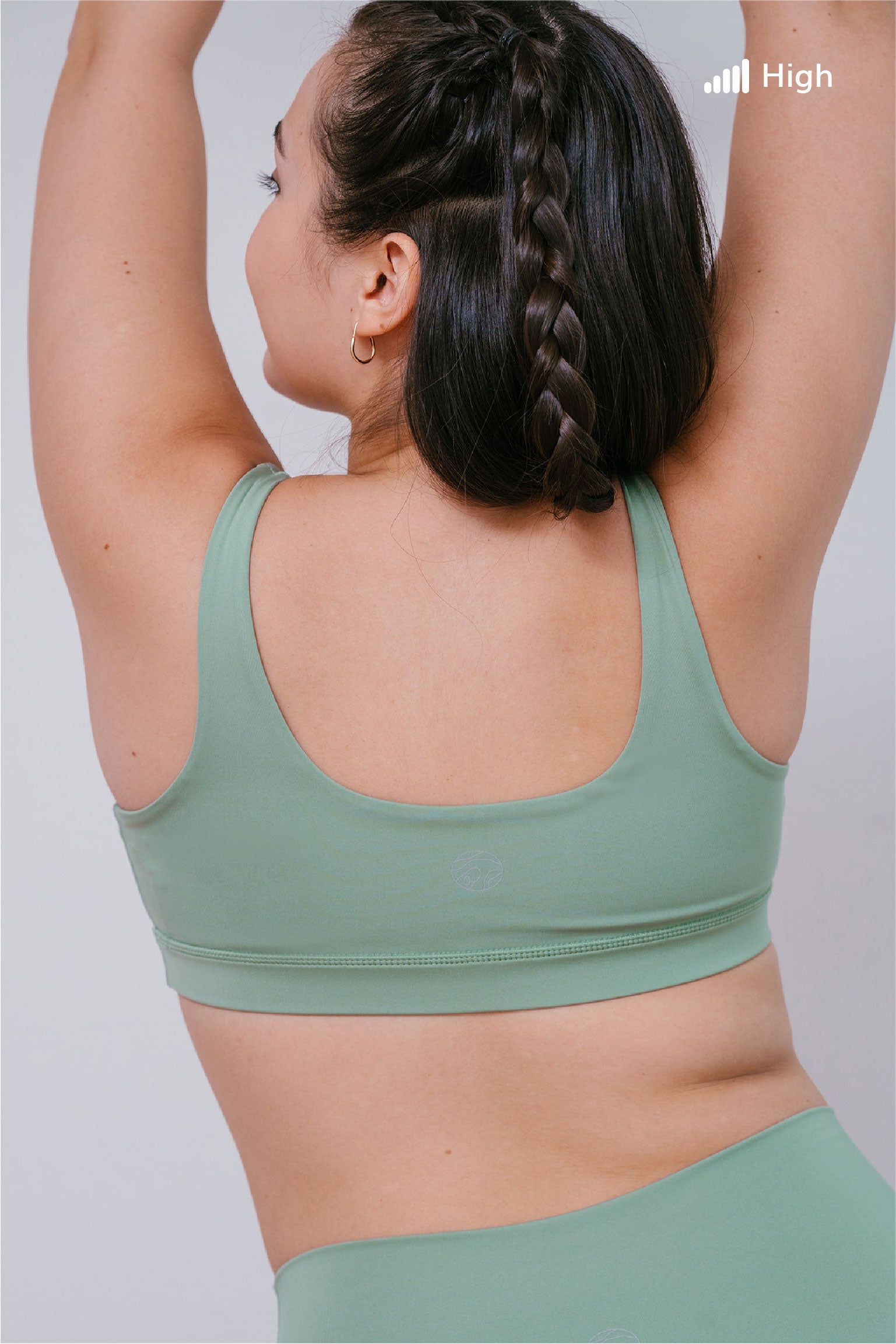 ecomposer-color-fern