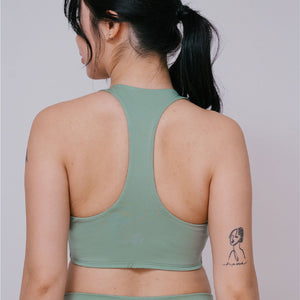 ecomposer-color-fern