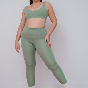 ecomposer-color-fern