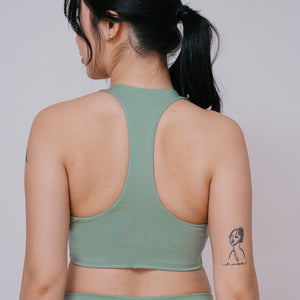 ecomposer-color-fern