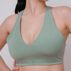 ecomposer-color-fern