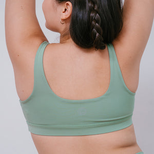 ecomposer-color-fern