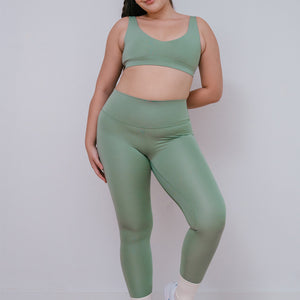 ecomposer-color-fern