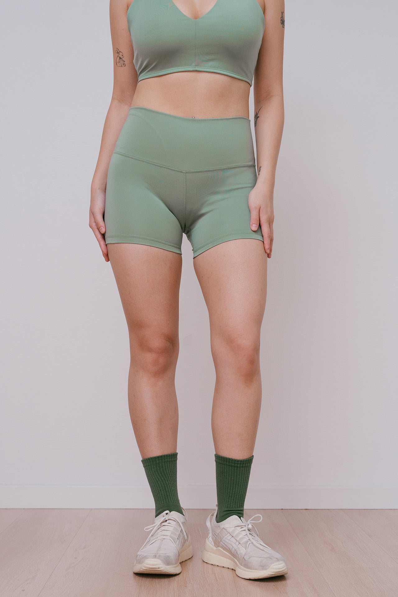 ecomposer-color-fern