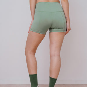 ecomposer-color-fern