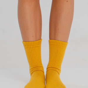 ecomposer-color-corn