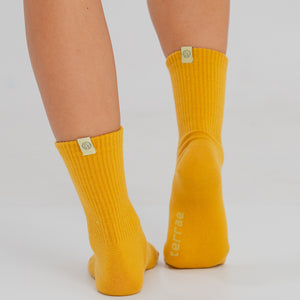 ecomposer-color-corn