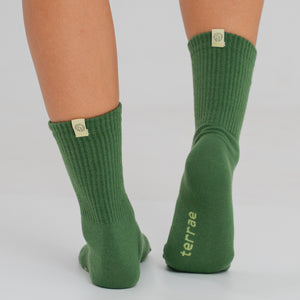 ecomposer-color-pine