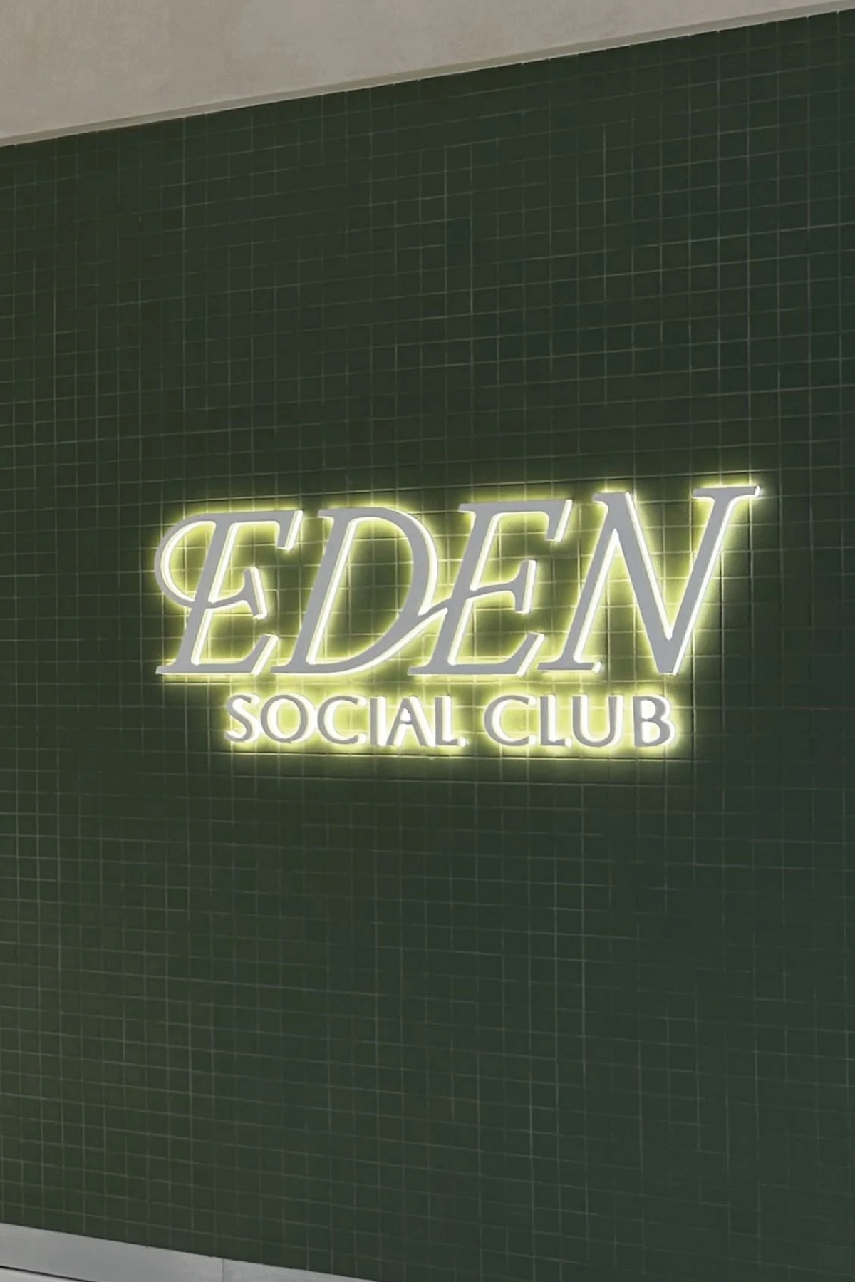 terrae × Eden Social Club: All Day In Session